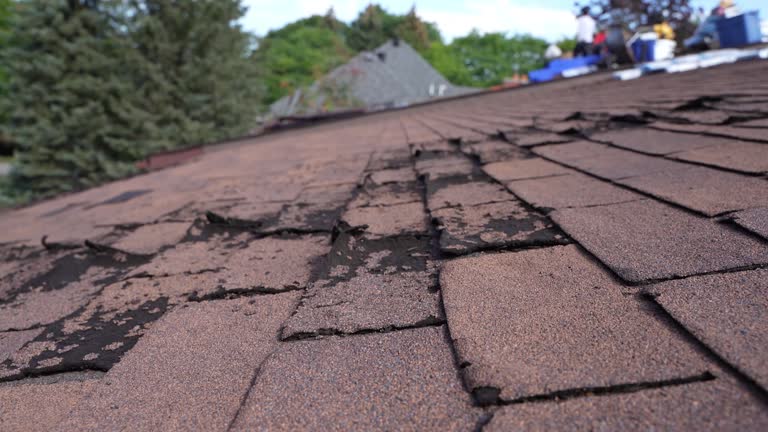 Best Asphalt Shingles Roofing  in Arcola, VA