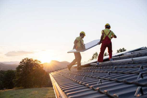 Best Roof Maintenance and Cleaning  in Arcola, VA